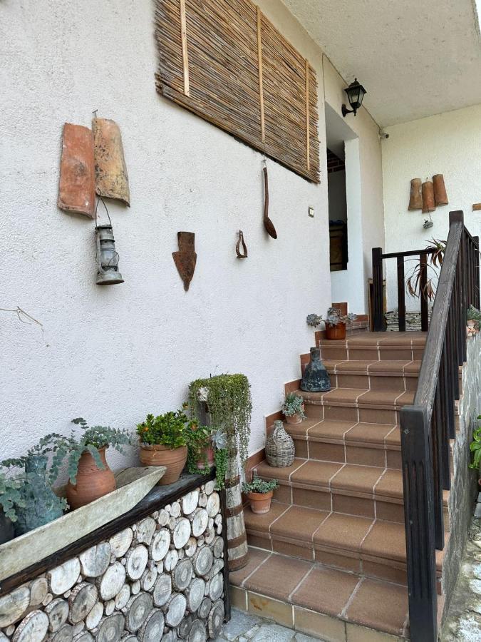 Bed & Breakfast Local Living Edi ベラト エクステリア 写真